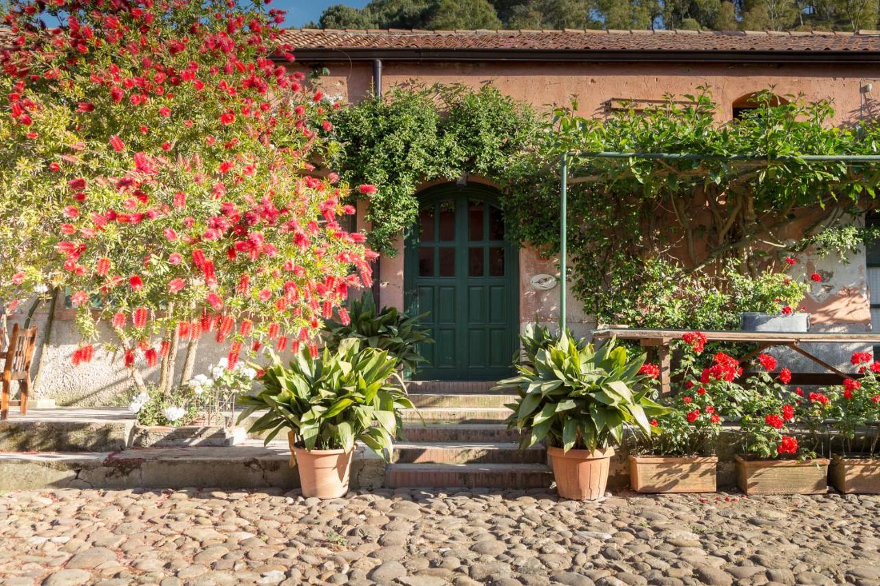 Masseria Pernice Monreale Bagian luar foto